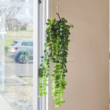 Darcy Hanging Ball Plant