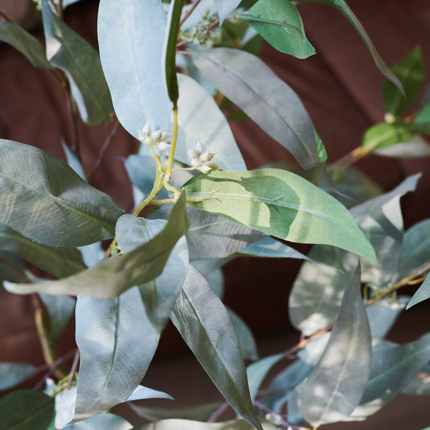 Hamilton Seeding Eucalyptus Gum Tree with Ceramic Pot