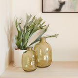 Ashton Glass Vase Large