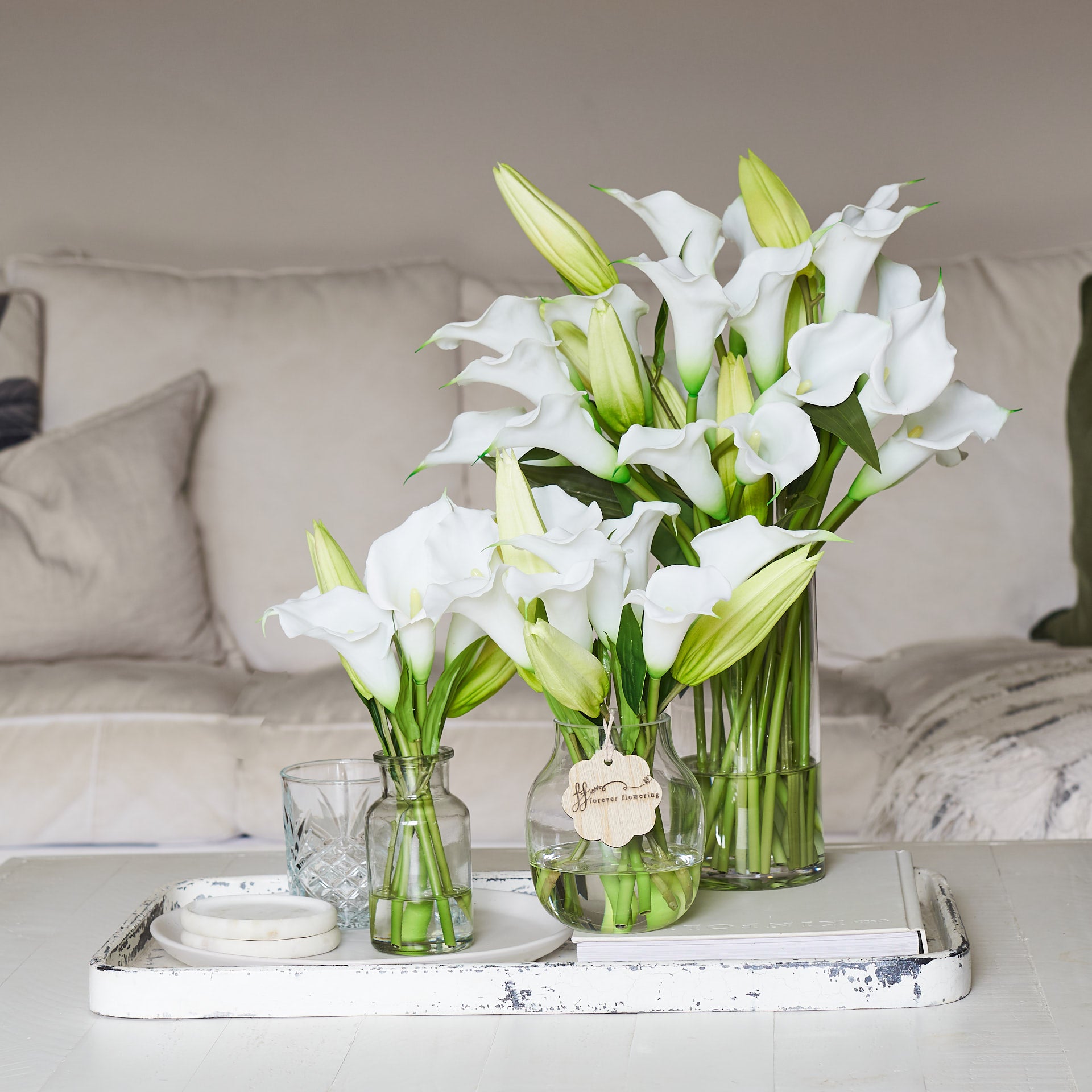 lily flower collection The Lily Set