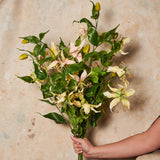 Gloriosa Spray Real Touch Flower Stem
