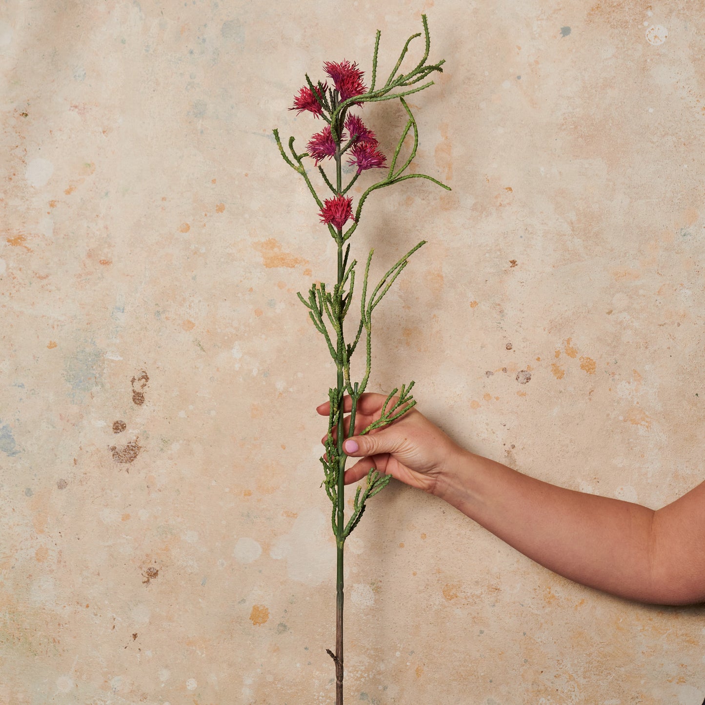 Grevillea Spray Long Real Touch Flower Stem