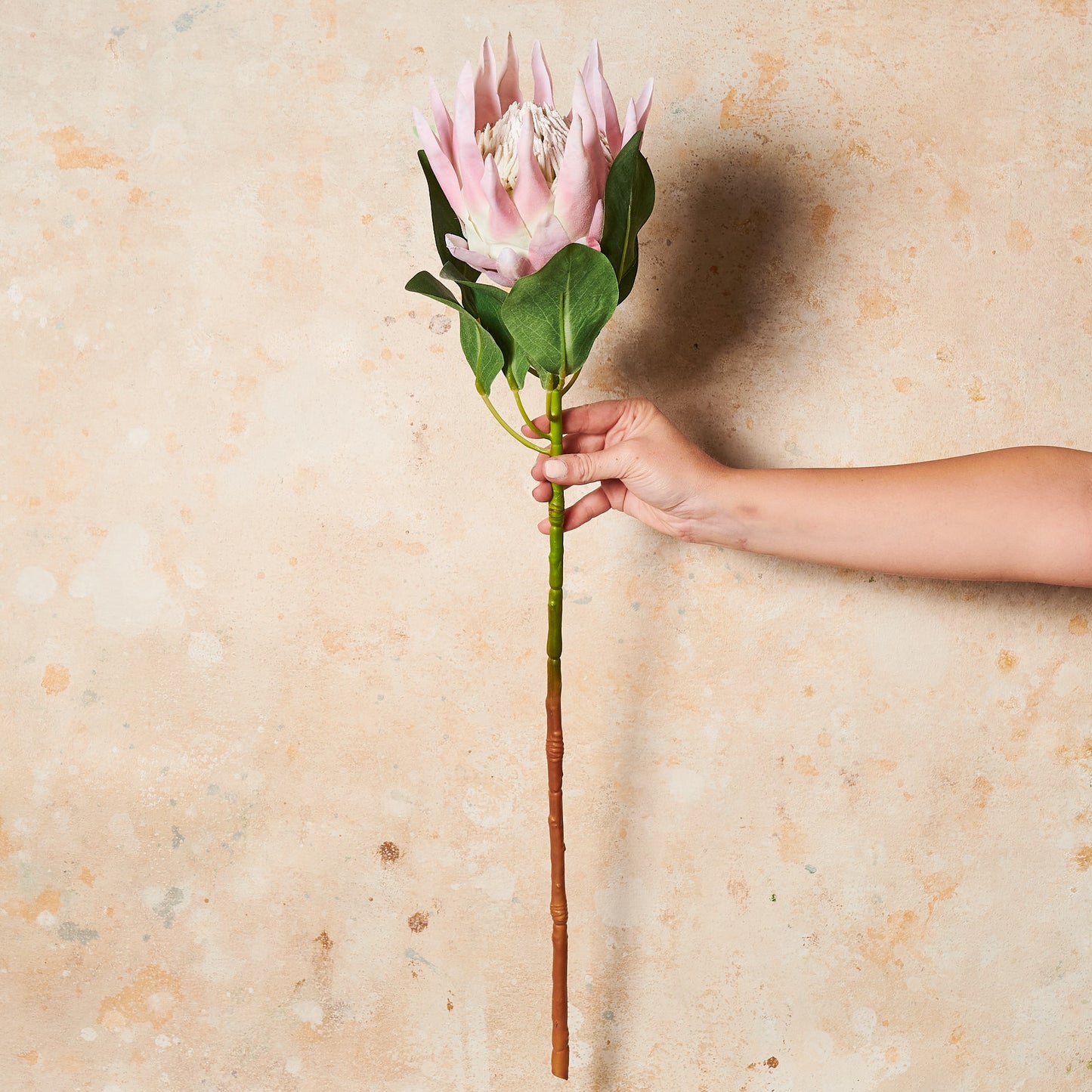 King Protea Real Touch Flower Stem