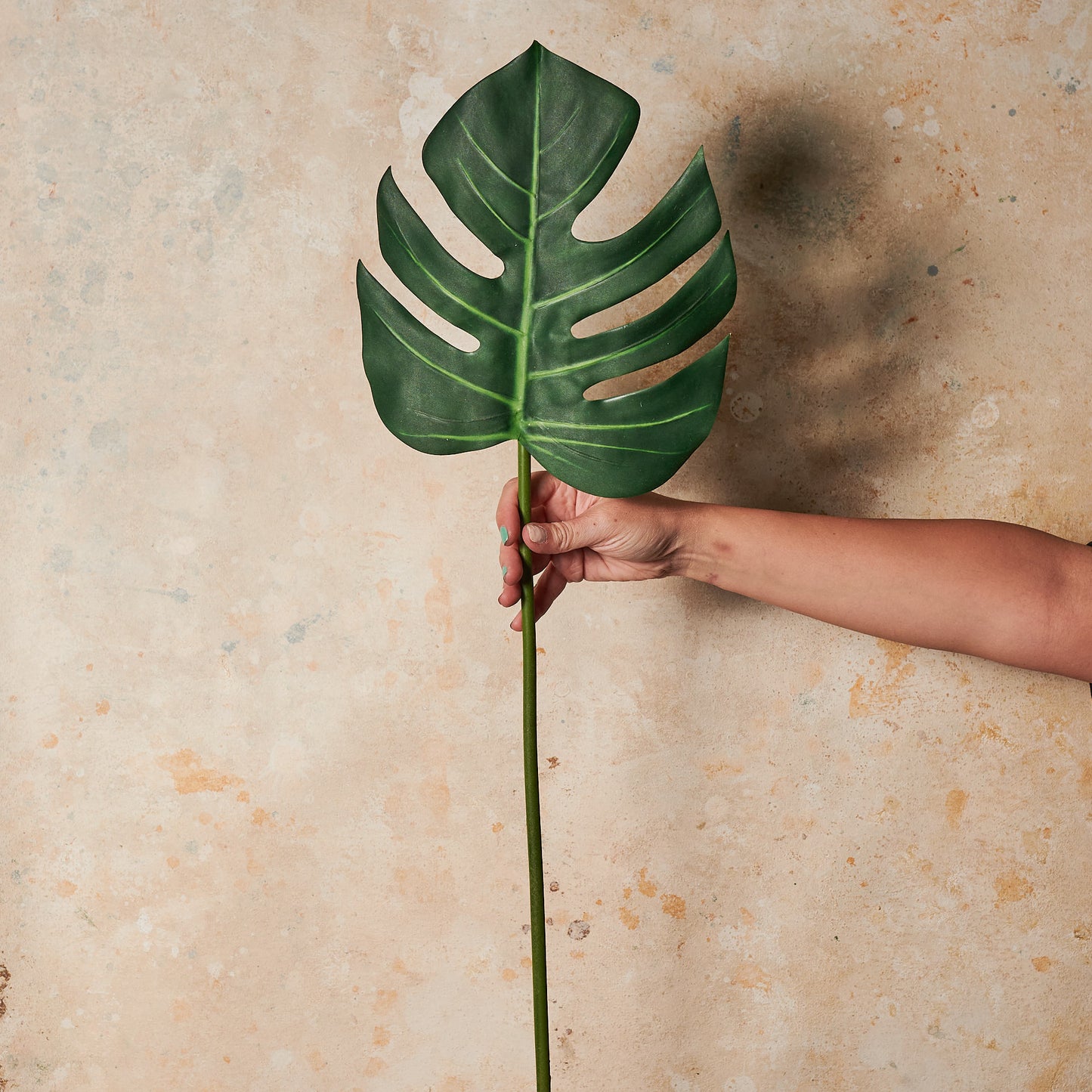 Monstera Leaf Real Touch Leaf Stem