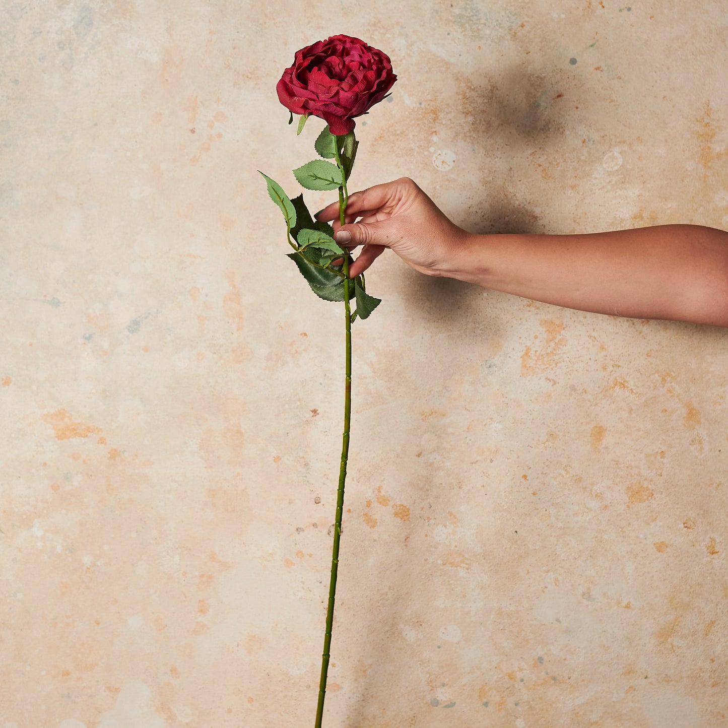 Peony Rose Real Touch Flower Stem