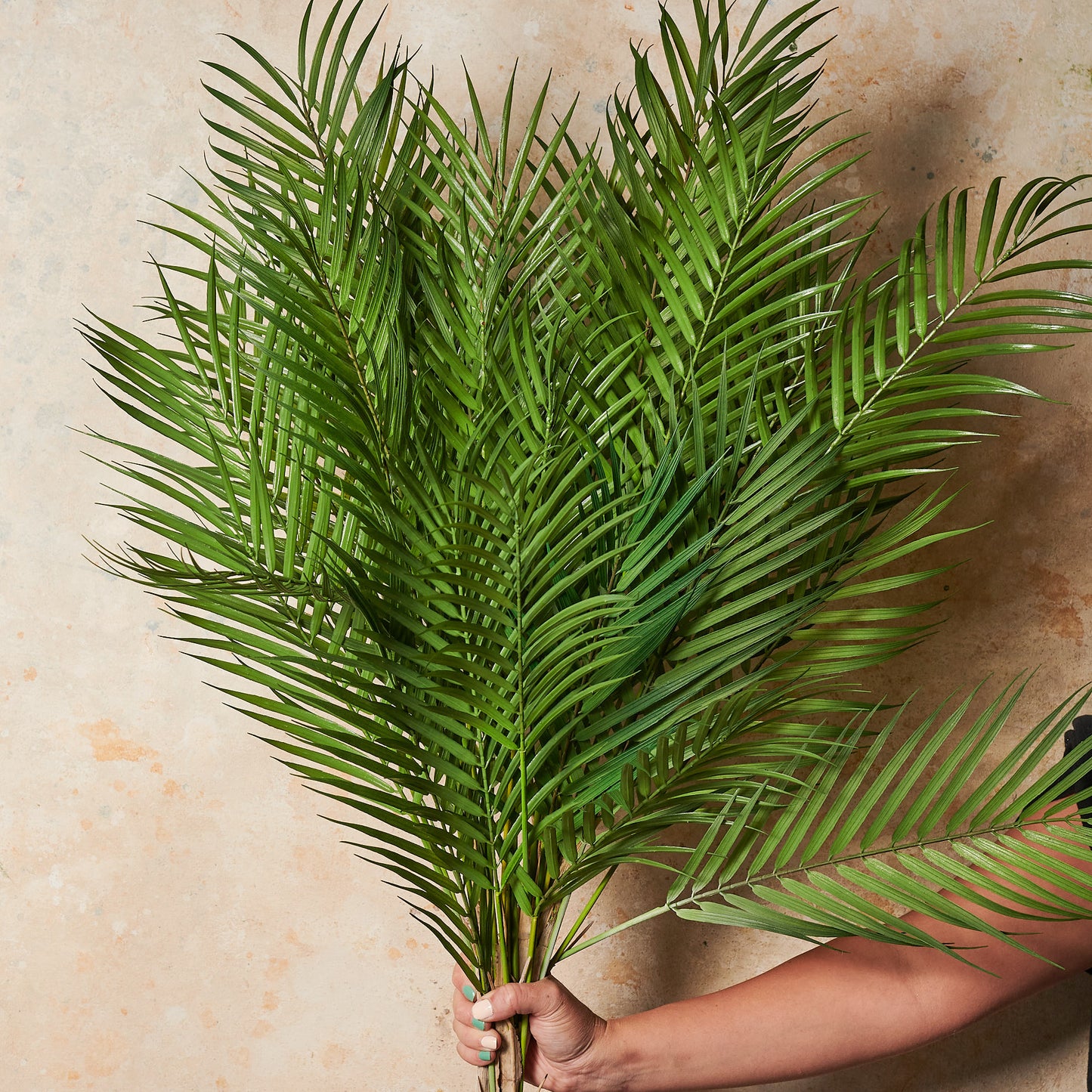 Phoenix Palm Bush Real Touch Stem