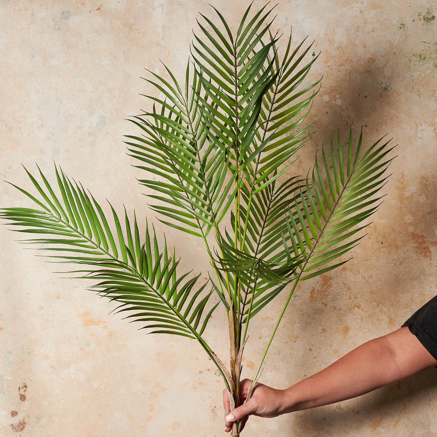 Phoenix Palm Bush Real Touch Stem