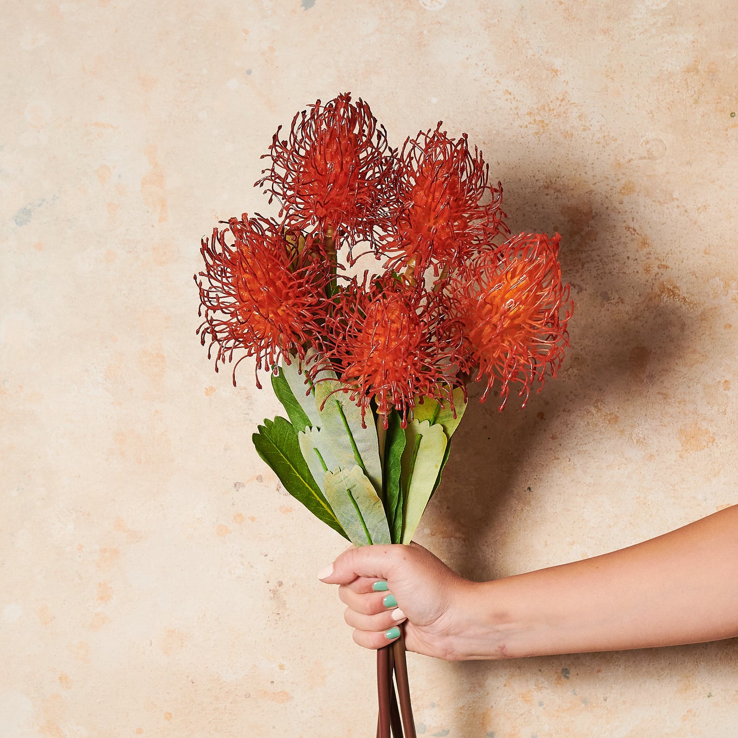 Protea Leucospermum Pin Cushion Real Touch Flower Stem