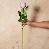 Rose Medium Bloom Real Touch Flower Stem