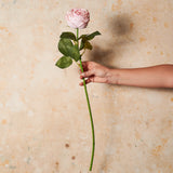 Rose Medium Bloom Real Touch Flower Stem