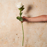 Rose Medium Bloom Real Touch Flower Stem