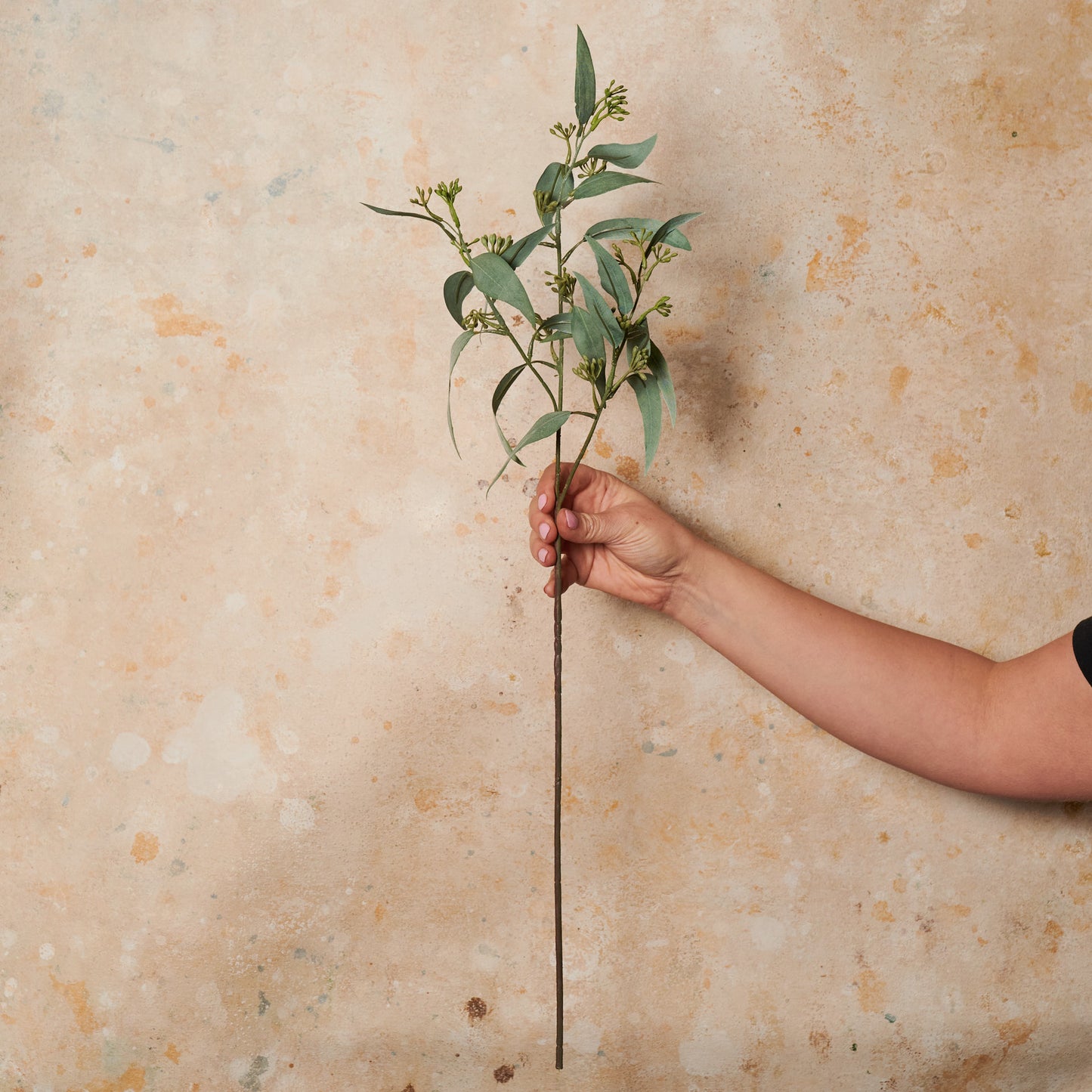 Eucalyptus Seed Leaf Real Touch Stem