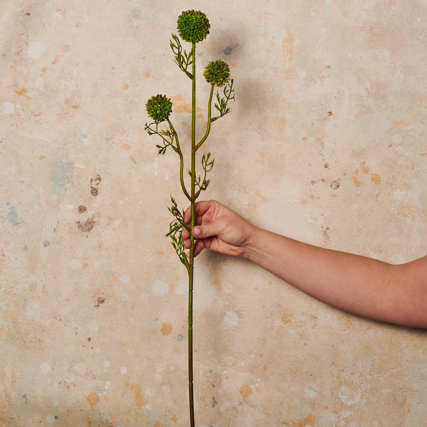 Seeding Pom Pom Spray Green Real Touch Stem