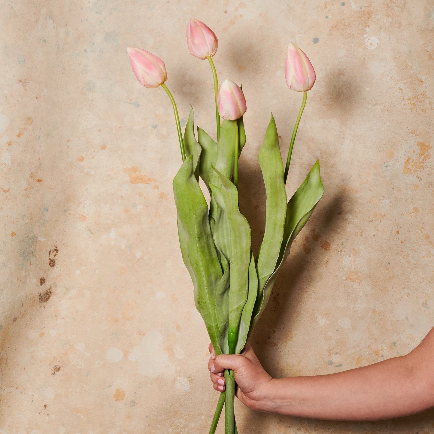 Tulip Real Touch Flower Stem