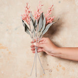 Wattle Bundle Real Touch Flower Stem