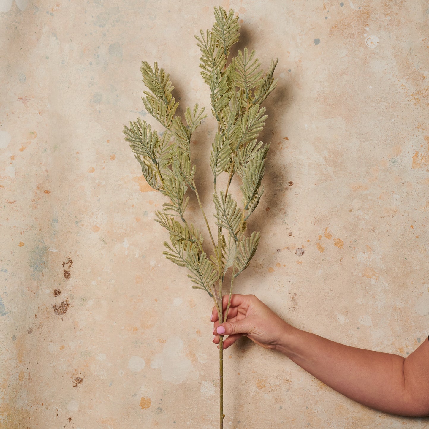 Wattle Leaf Spray Real Touch Stem