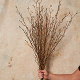 Willow Stick Real Touch