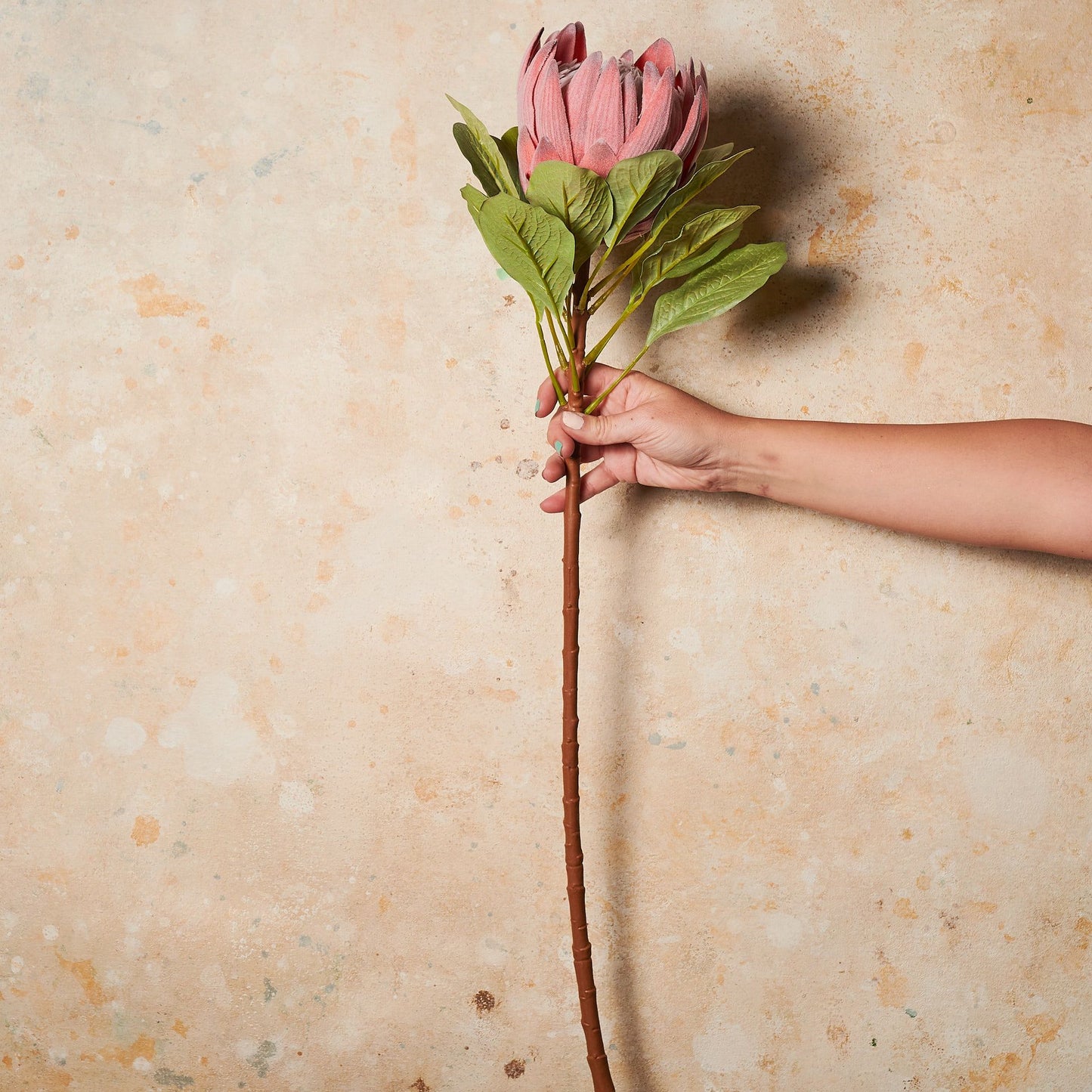 King Protea Real Touch Flower Stem