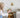 From garage to global – How Melbourne mum Stacey Culpin turned artificial blooms into booming business