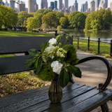 The New York City Collection