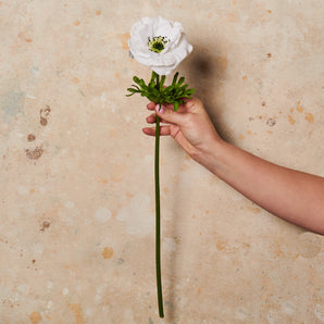 Anemone White Real Touch Flower Stem