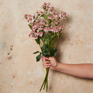 Astrantia Real Touch Flower Stem