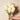 Banksia Real Touch Flower Stem