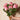 Bettie Queen Protea Real touch Flower Stem