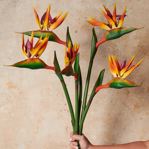 Bird Of Paradise Real Touch