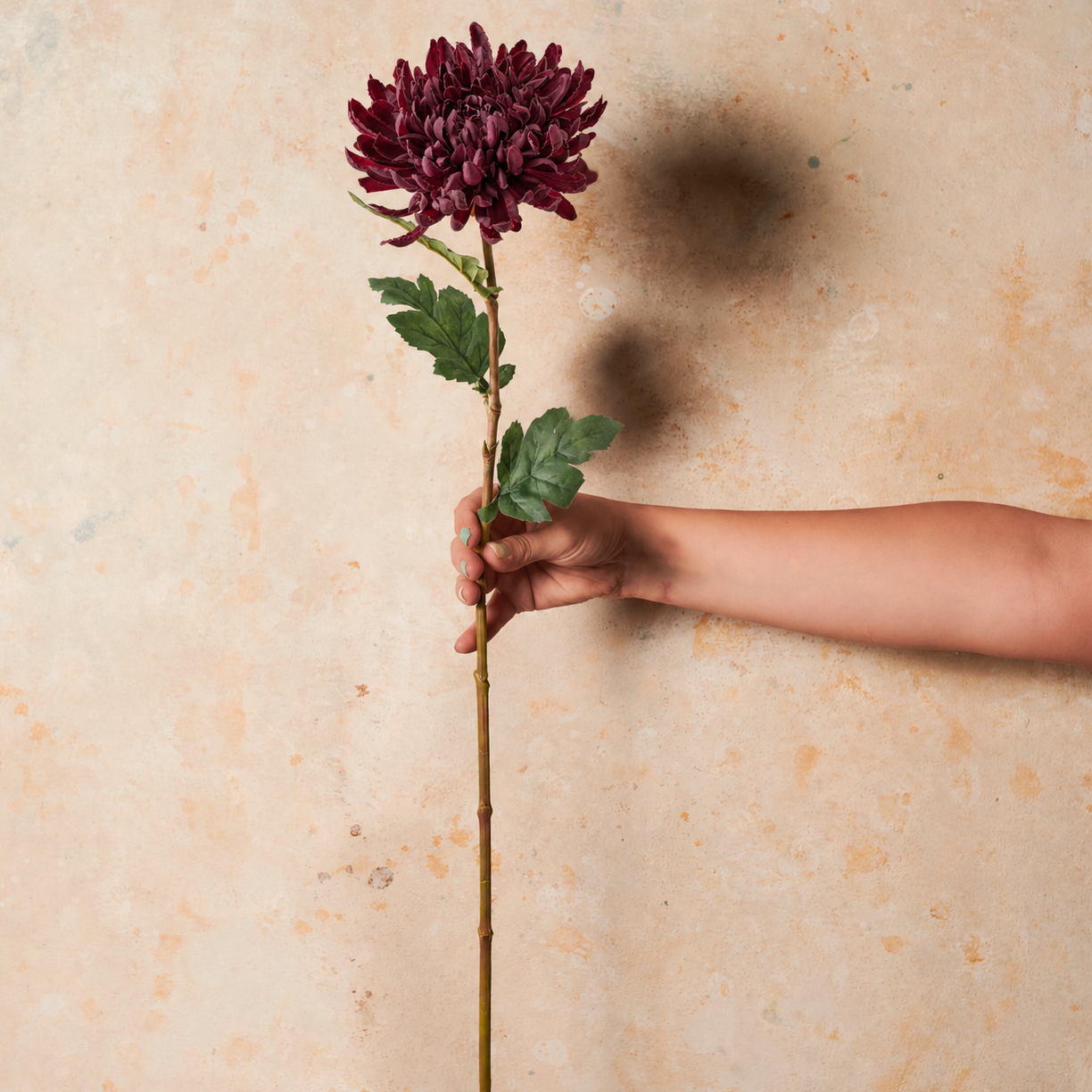 Chrysanthemum Real Touch Flower Stem