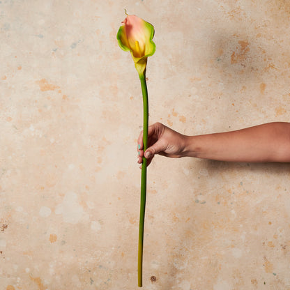 Calla Lily Real Touch Flower Stem