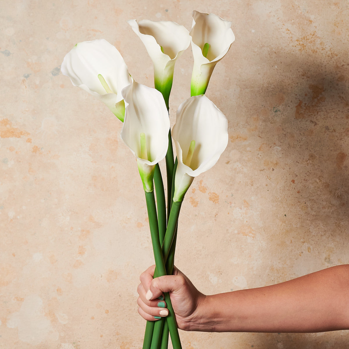 Witte Calla White Calla Lily Flowers C6263 White Calla Lily Prom Bouquet