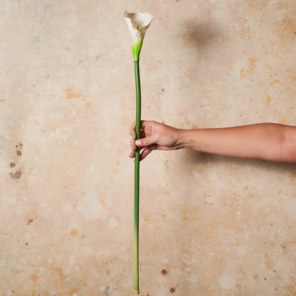 Calla Lily Real Touch Flower Stem