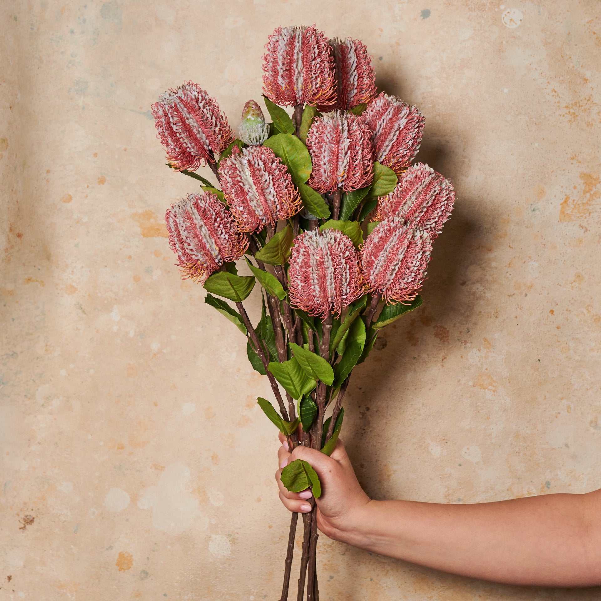 Cameron Banksia Real Touch Flower Stem