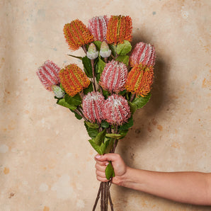 Cameron Banksia Real Touch Flower Stem