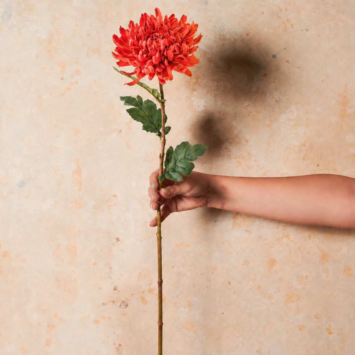 Chrysanthemum Real Touch Flower Stem