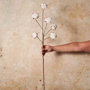 Cotton Real Touch