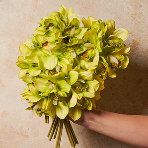 Cymbidium Bouquet Green Real Touch Flower Stem