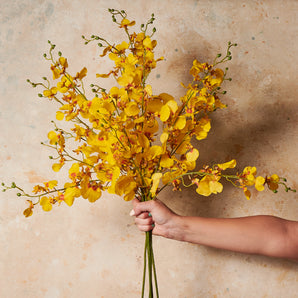 Dancing Orchid Real Touch