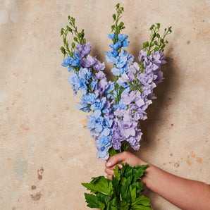 Delphinium Real Touch Flower Stem
