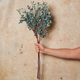 Eucalypt Decor Bundle Blue Real Touch Stem