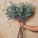 Eucalypt Decor Bundle Blue Real Touch Stem