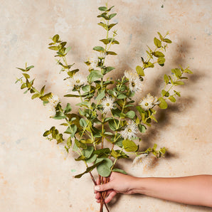 Eucalyptus Blossom Real Touch Flower Stem