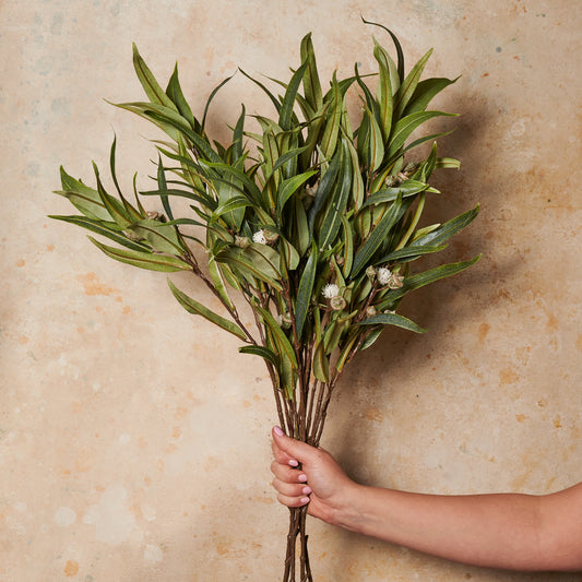 Eucalyptus Flowering Seed Pod Spray Real Touch Stem