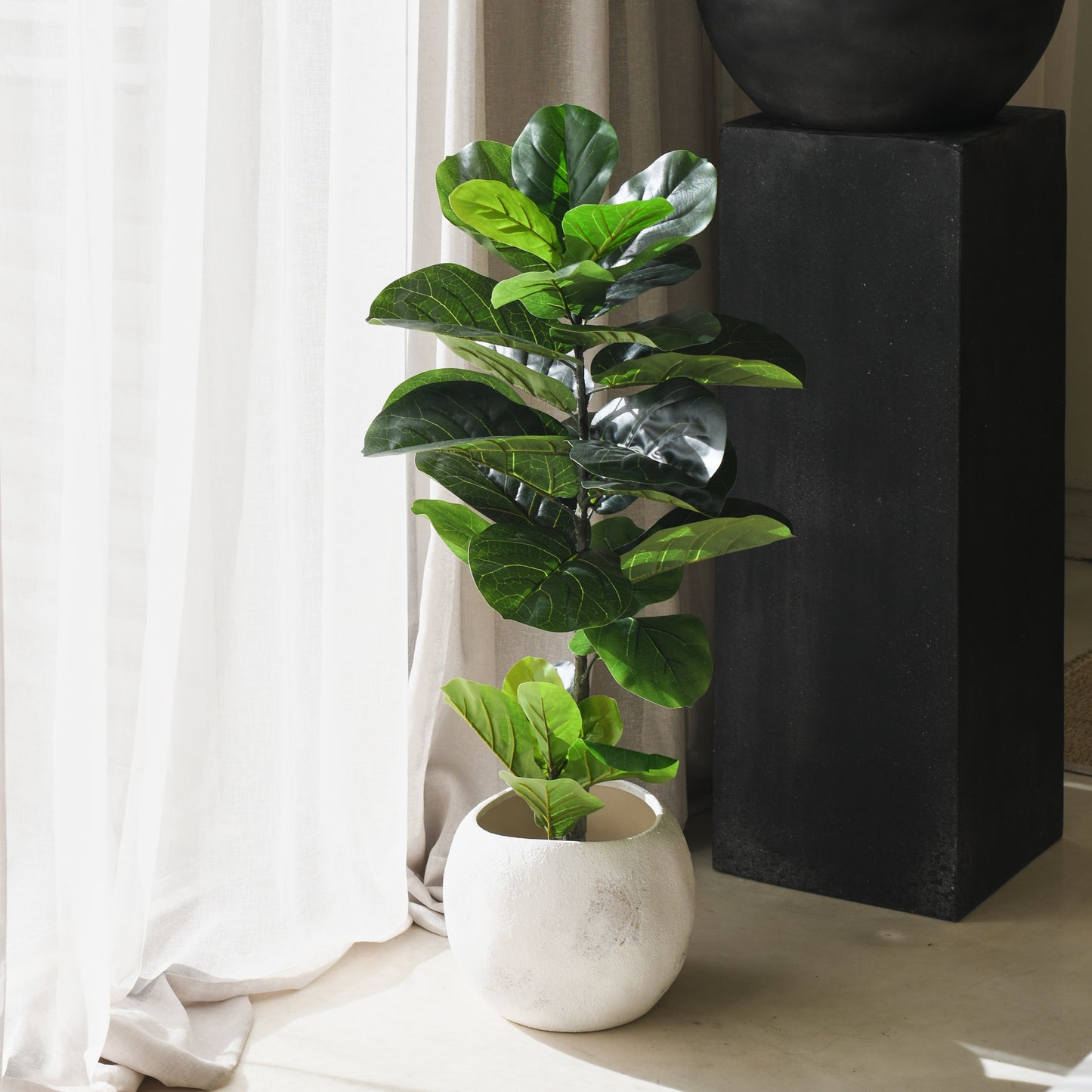 Felix Fiddle Leaf Fig Tree and Pot