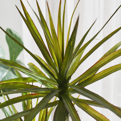 Cooper Yucca Plant and Pot