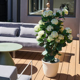 Hydrangea Outdoor Plant UV Resistant in Pot