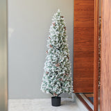 Frosted Pine Tree Outdoor UV Resistant