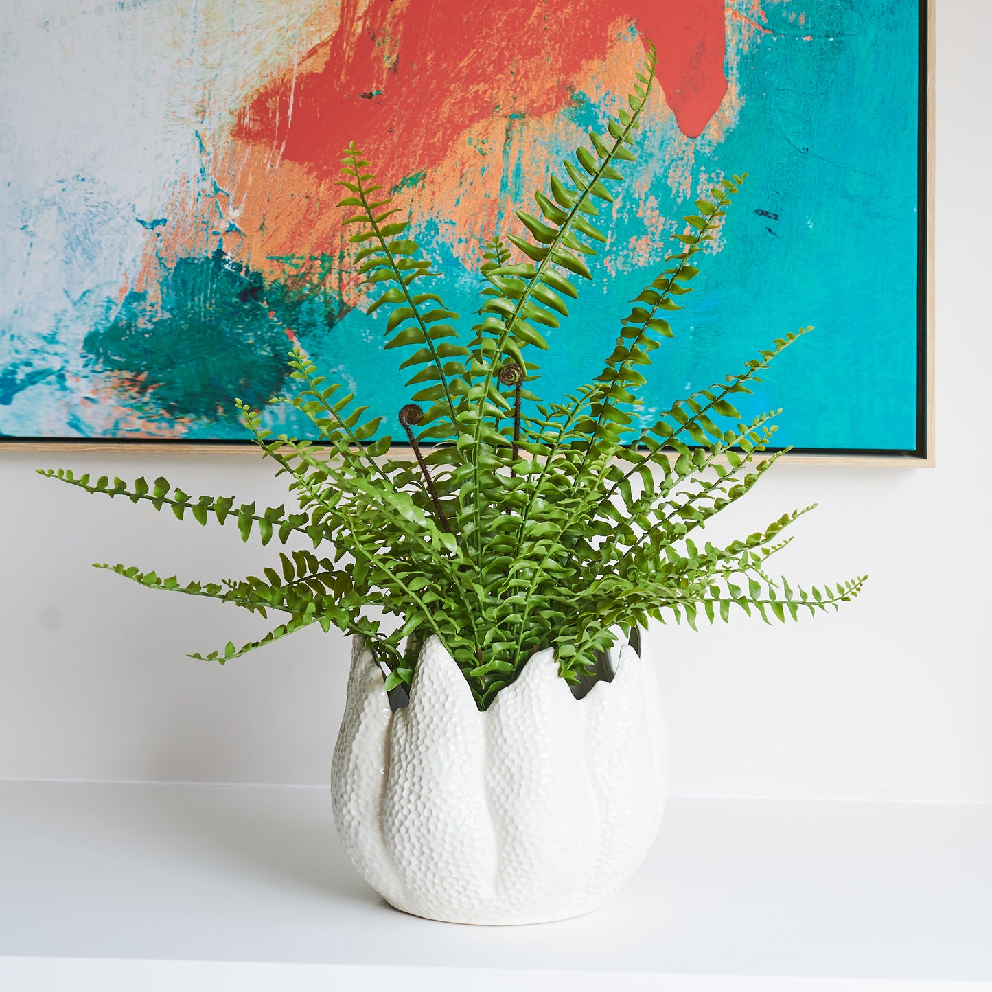 Pebbles Boston Fern in Pot