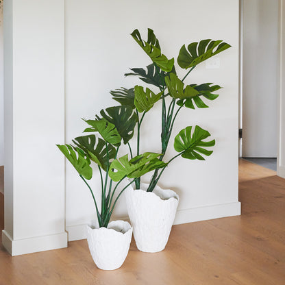 Jasper Monstera Vine Tree with Pot